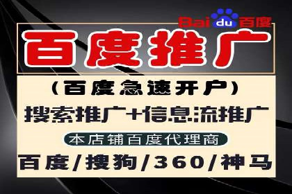 SEO与百度广告的结合：双管齐下的推广案例